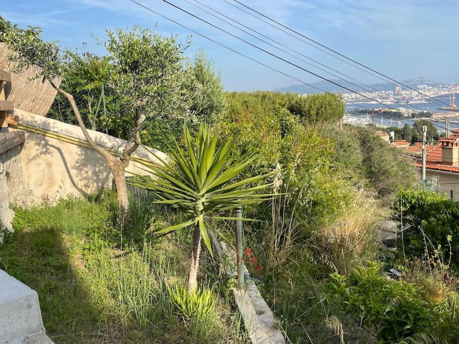 Superbe Terrasse Avec Vue Panoramique Sur La Mer 马赛 外观 照片