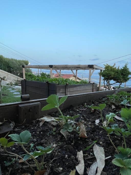 Superbe Terrasse Avec Vue Panoramique Sur La Mer 马赛 外观 照片